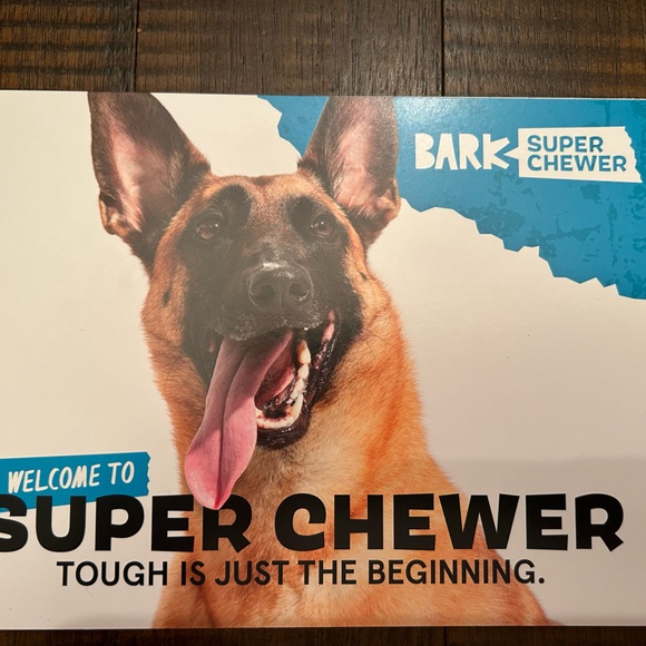 Bark Box Super Chewer Fall Fetch Stick - Picture 5 of 8